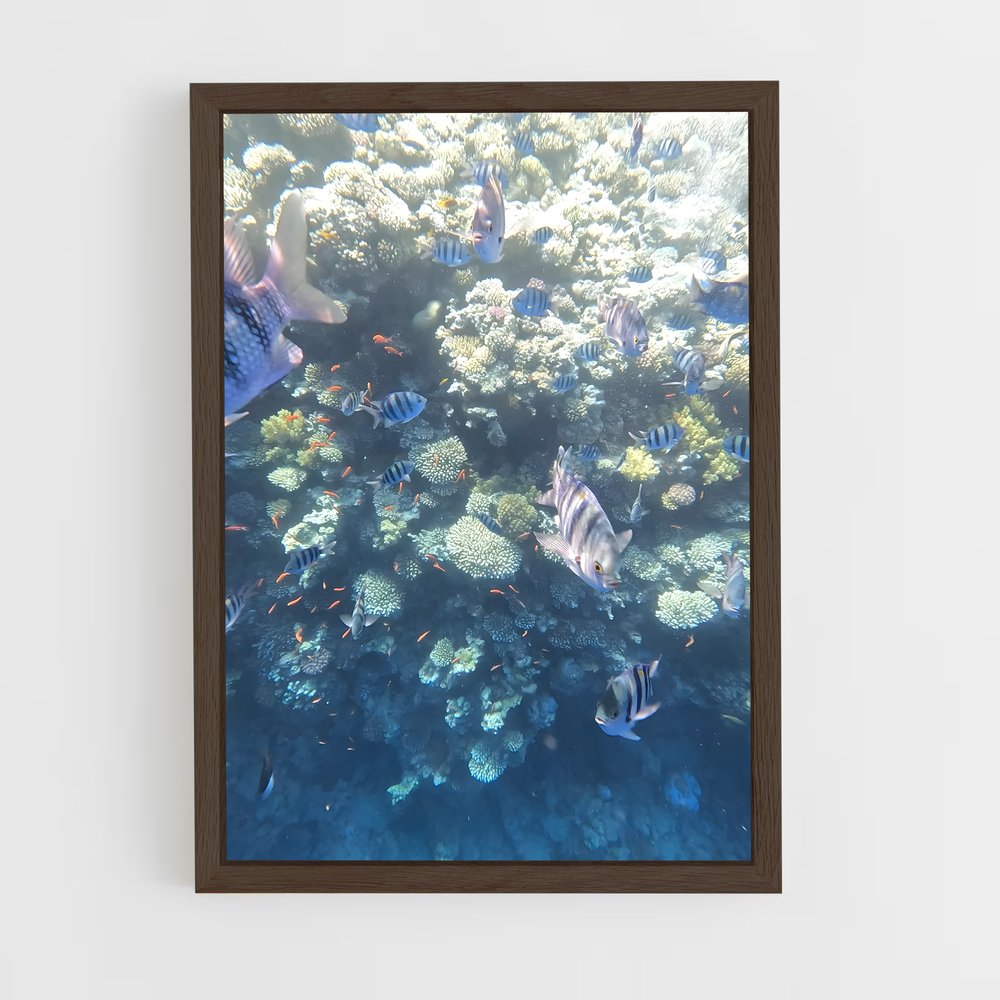 Poster Blue hole – affiche Plongée en apnée (vue 5)